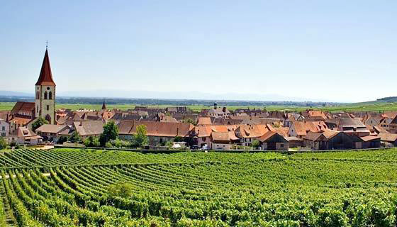 AlsaceWine阿爾薩斯葡萄產區